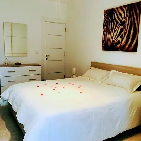 Accommodatie bij particulieren Urban Living